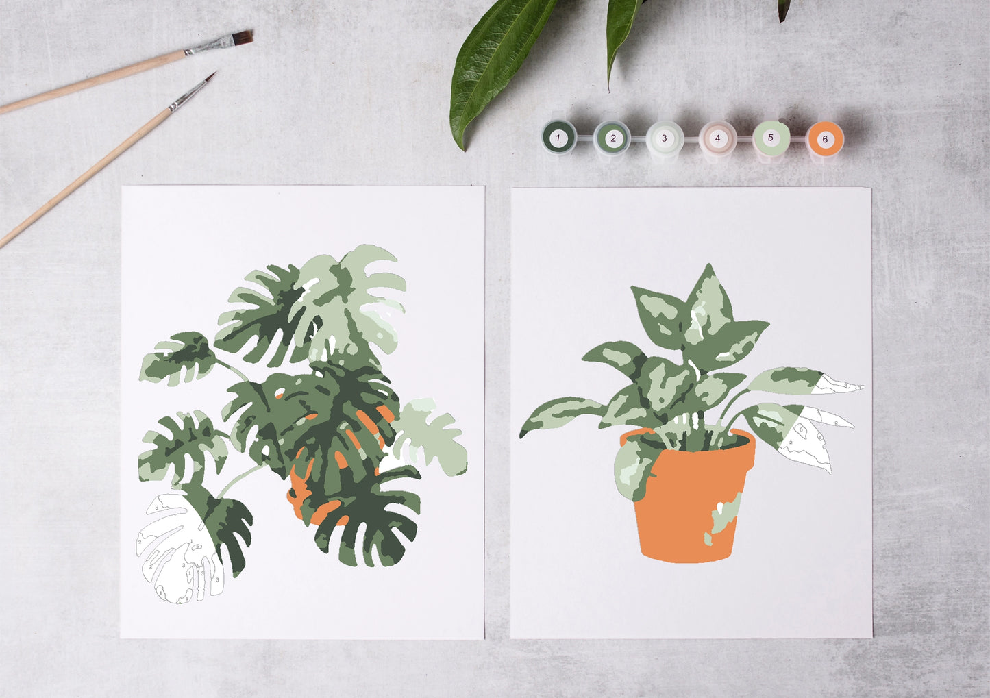 Paint by Number: Tropical Plants