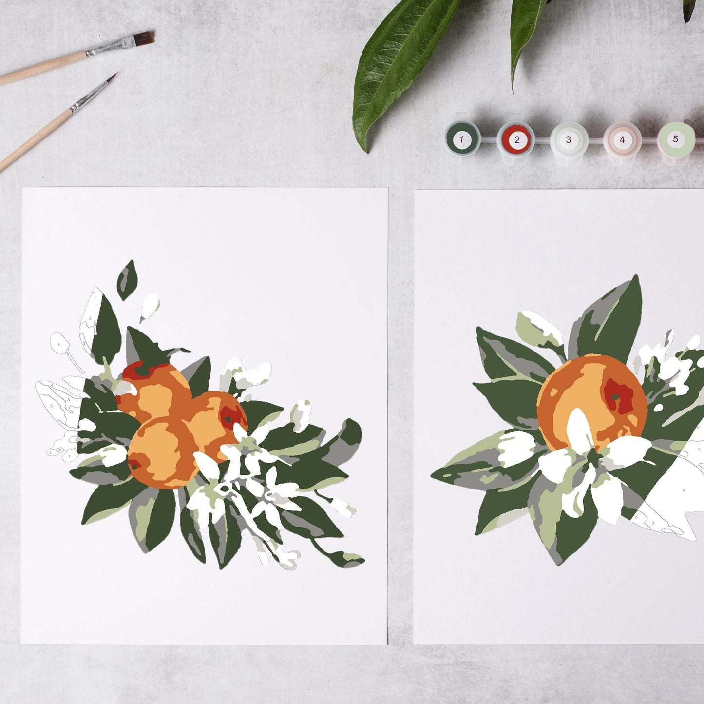 Paint by Number: Orange Blossom