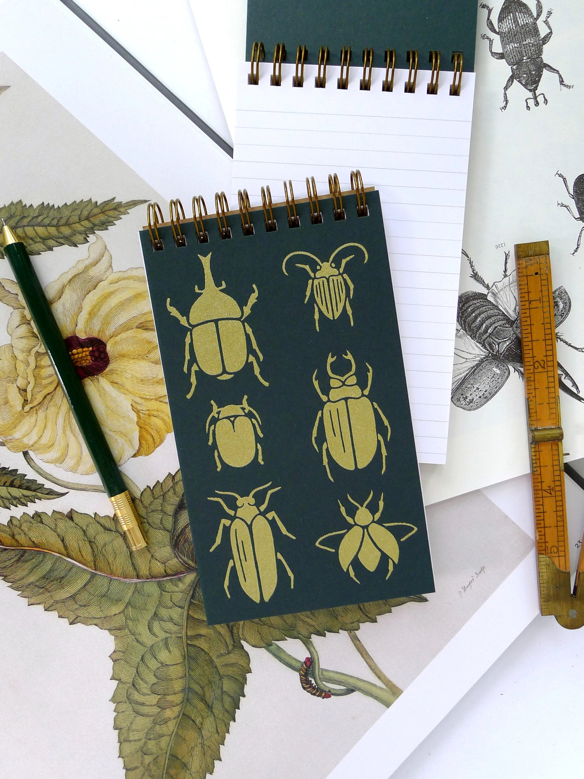 Beetle Notepad (Lined)