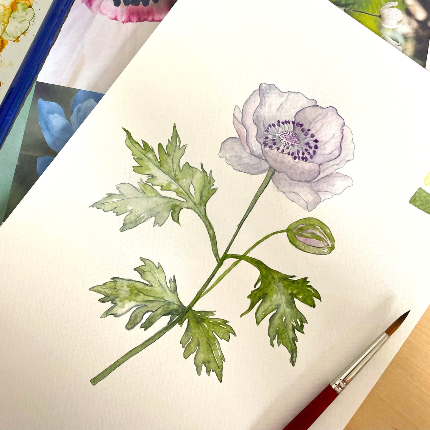 10/29 - Intro to Watercolor: Fall Blooms