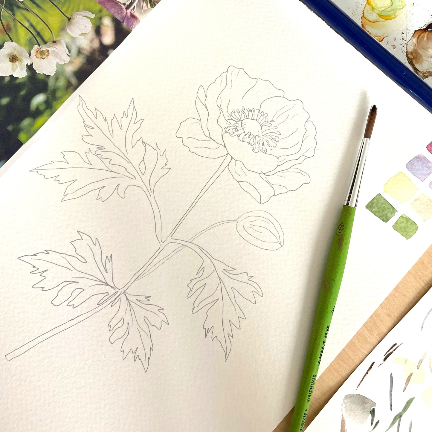 10/29 - Intro to Watercolor: Fall Blooms