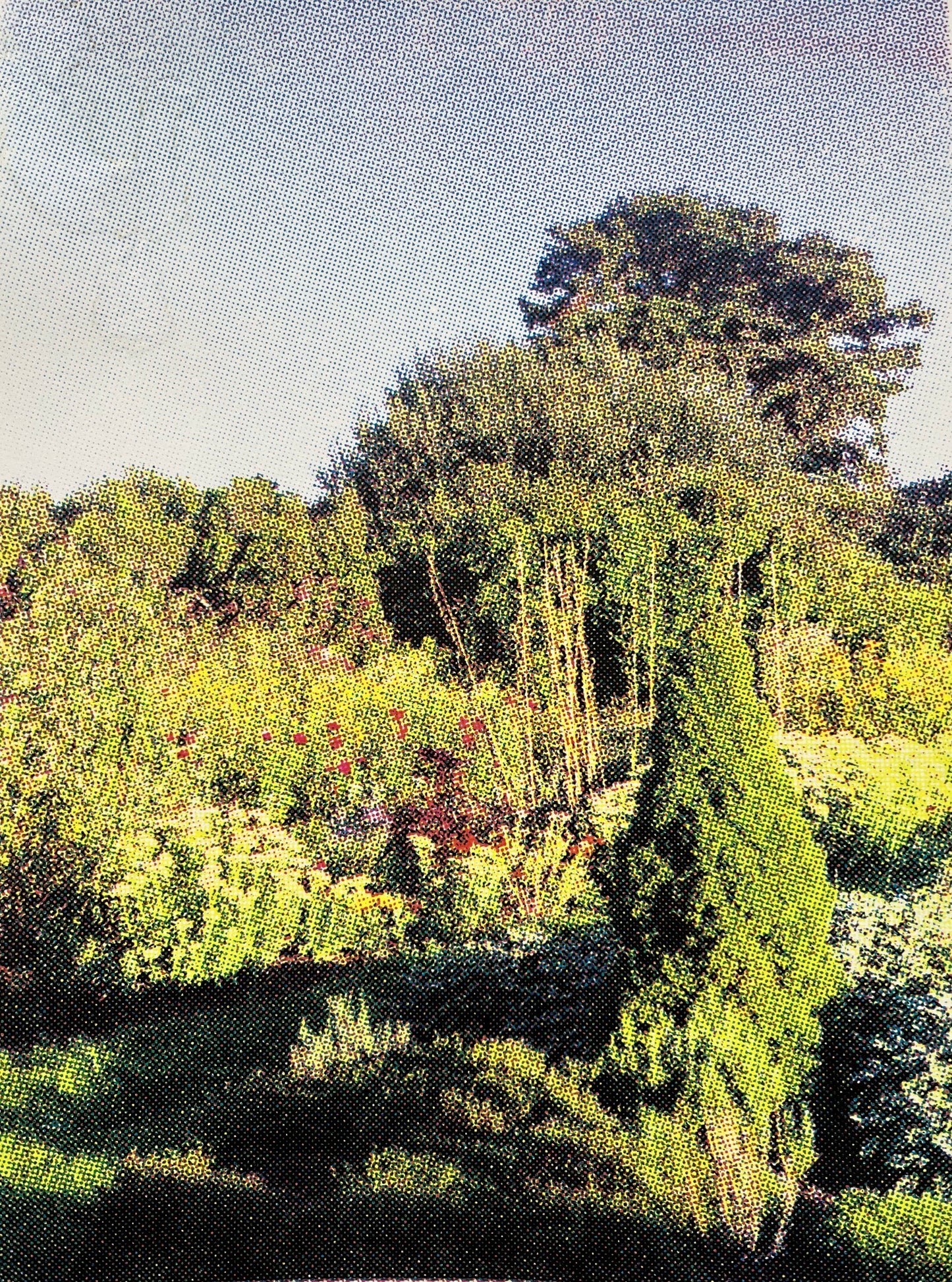 Cisco Garden by Mae Blackwell