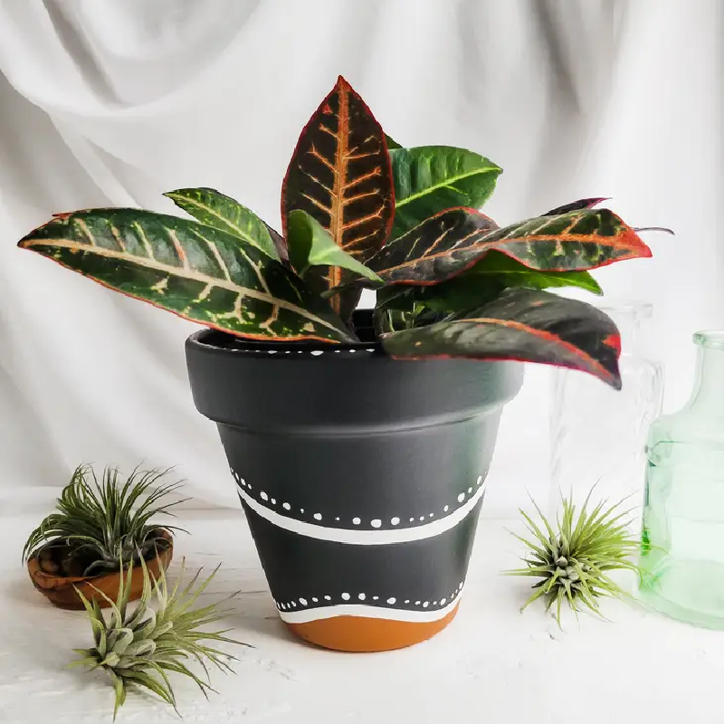 Planter - Dotty Pattern