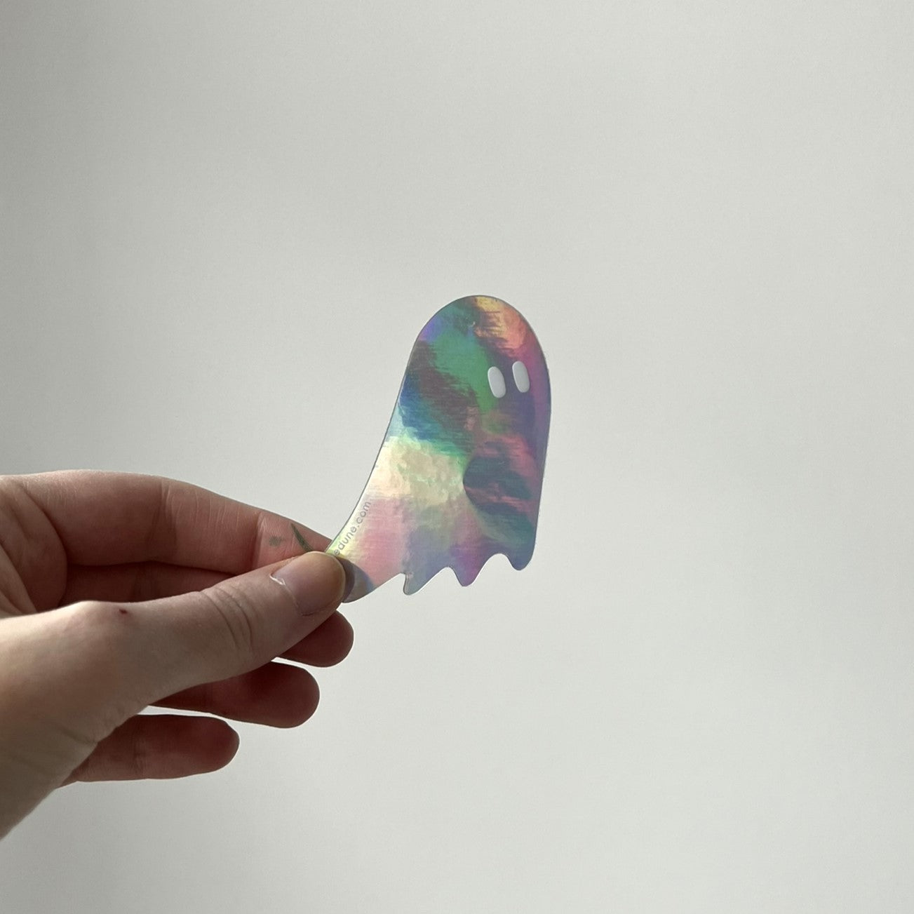 Holographic Ghost Sticker