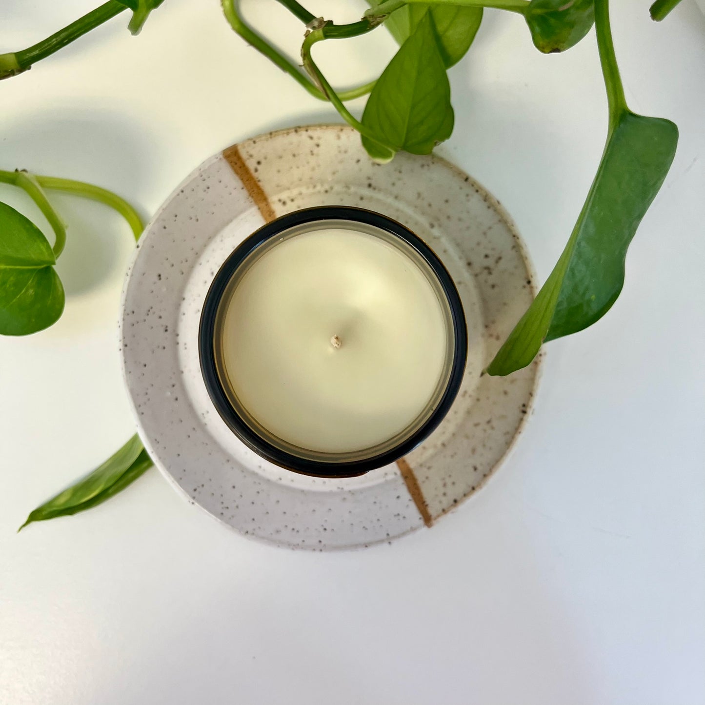 The Bee's Knees Candle