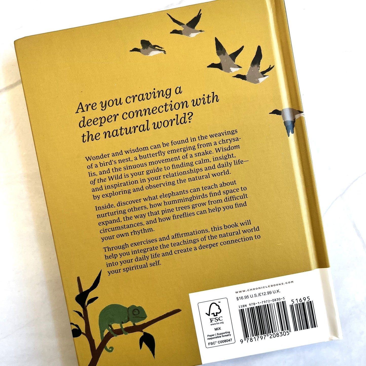 Wisdom of the Wild: Life Lessons from Nature