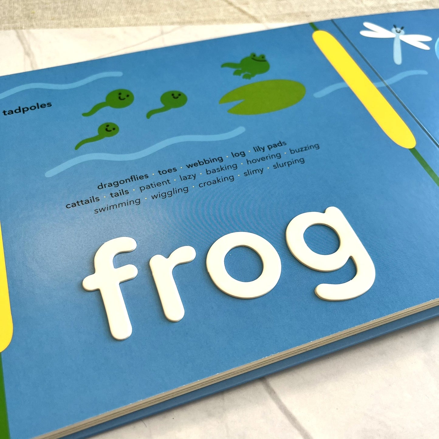 Animals (Touch Words Book)