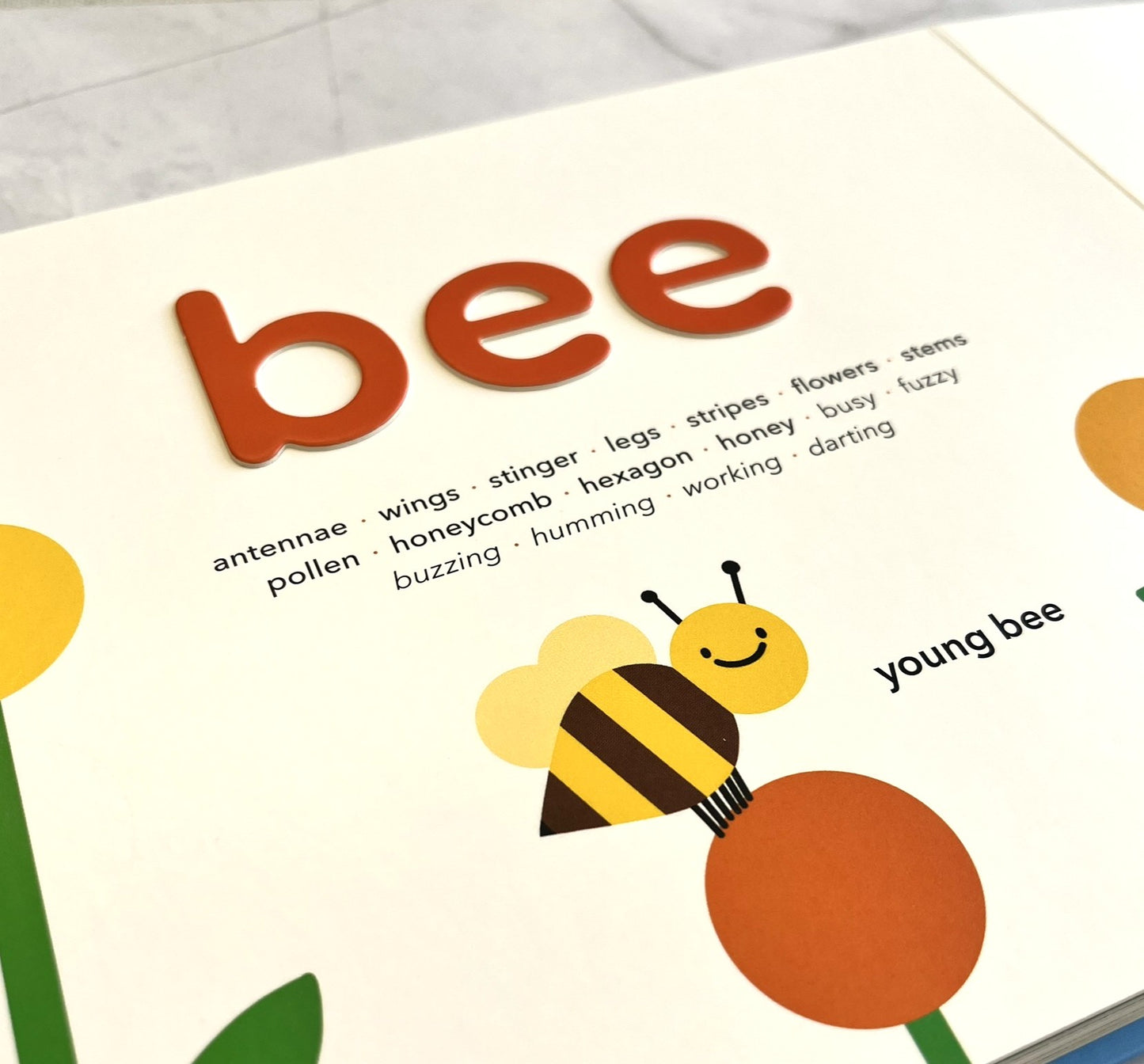 Animals (Touch Words Book)