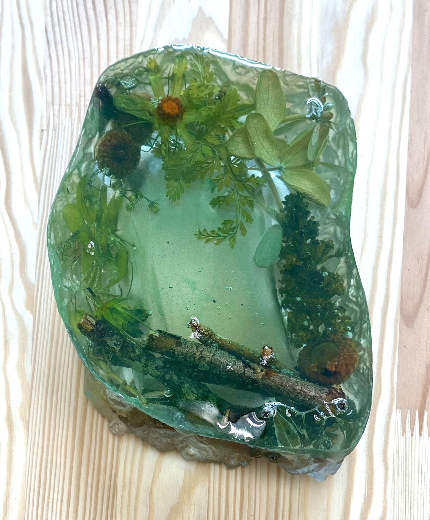 Sensory Pond Bowls