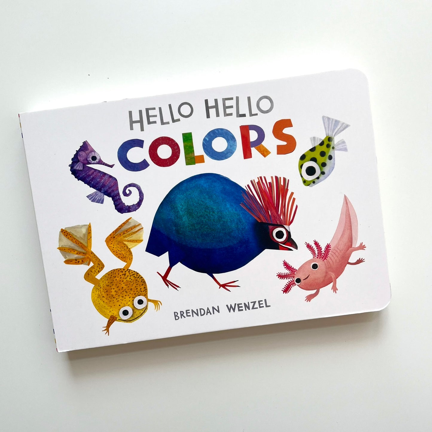 Hello Hello Colors