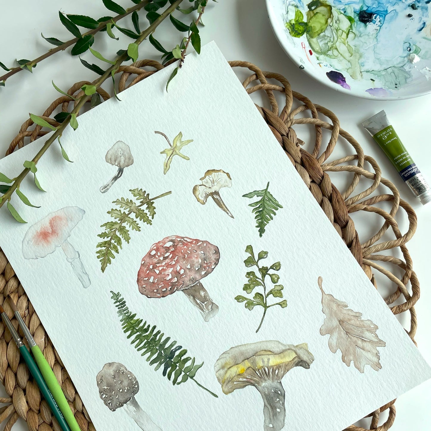 9/24 - Intro to Watercolor: Mushrooms + Ferns