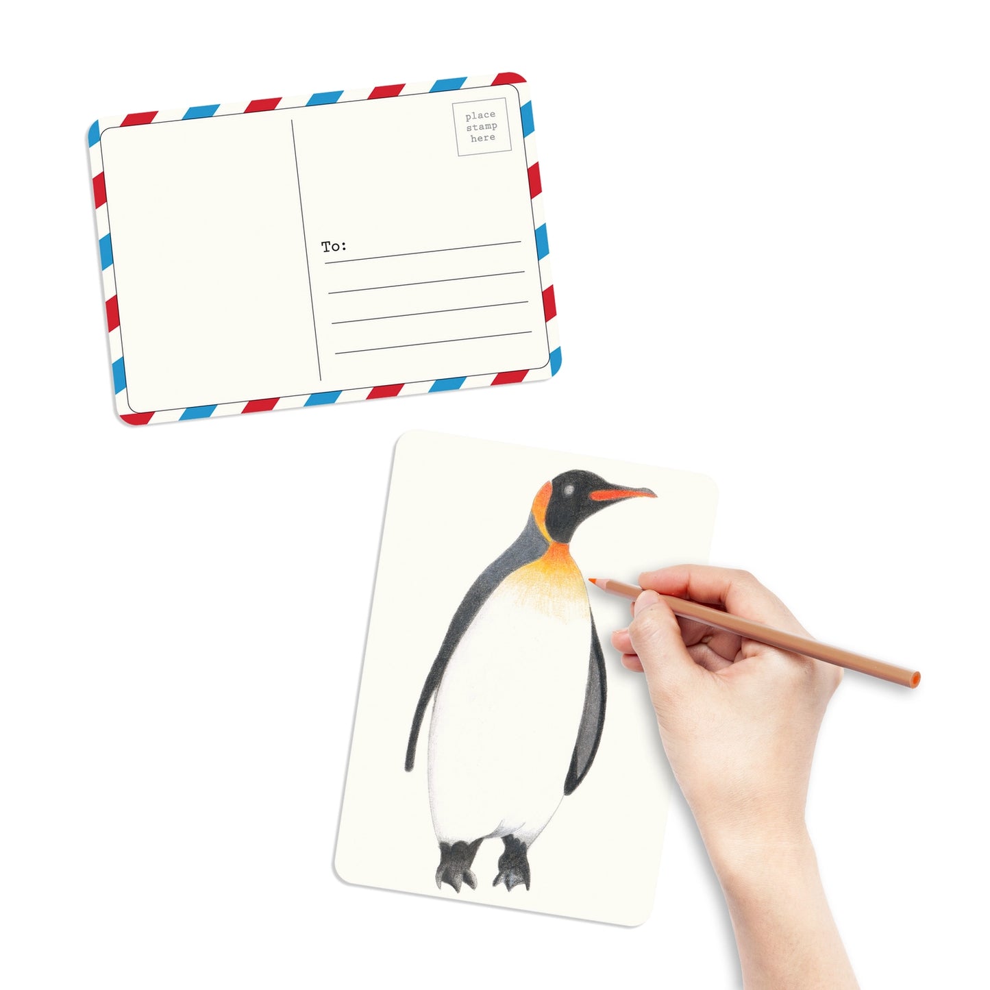 Coloring Postcards - Birds