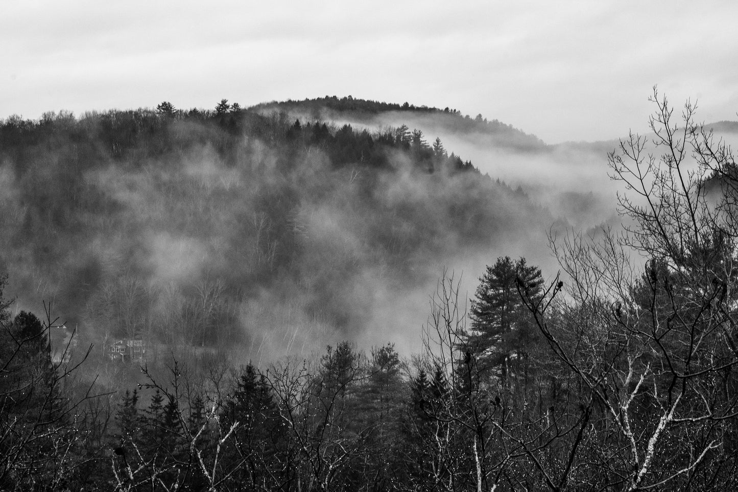 Fog by Eri O'Brien