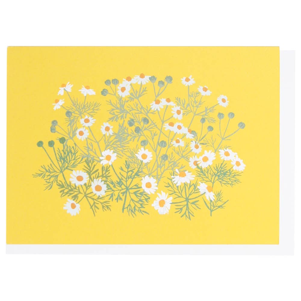 Box of 10 Notecards (Blank)