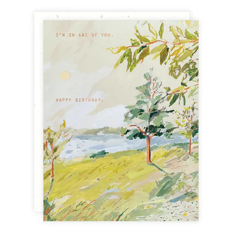 I'm In Awe of You Birthday Card