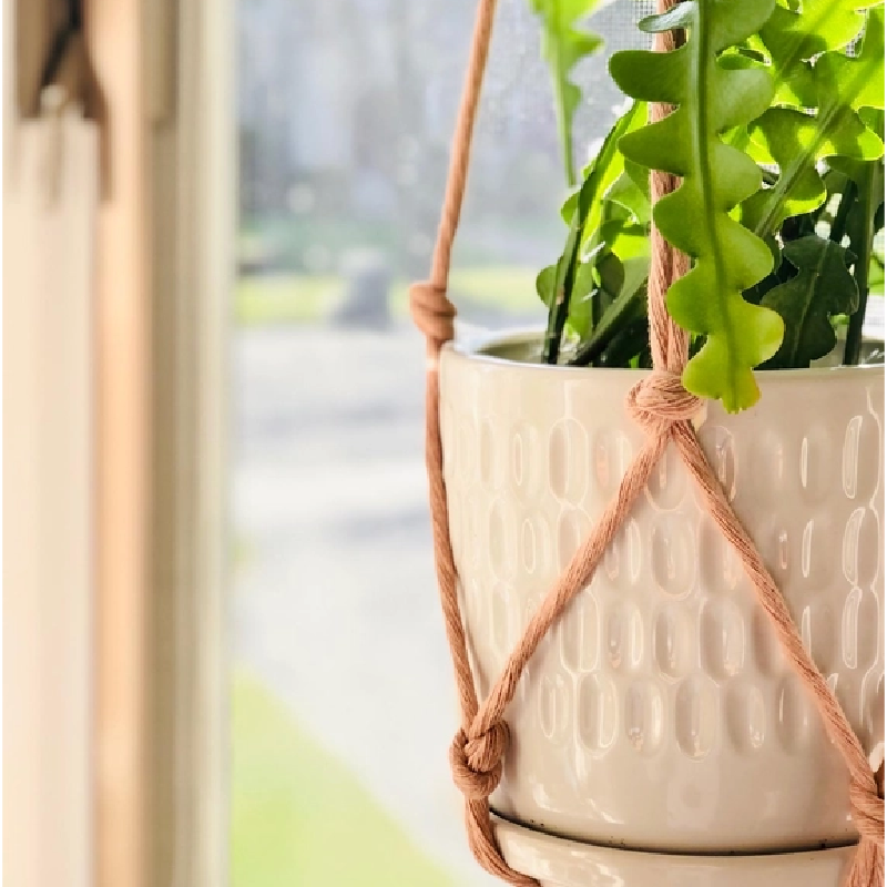 minimalist macrame plant hanger Minimalist Macrame Plant Hanger