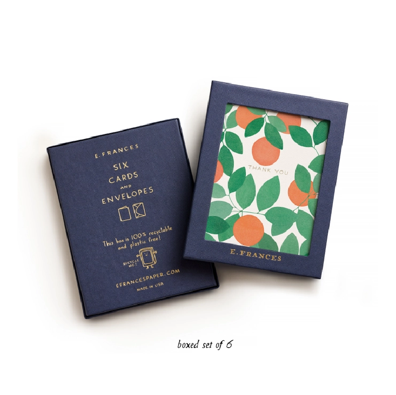 Orange Grove Thank You Cards (Set of 6)