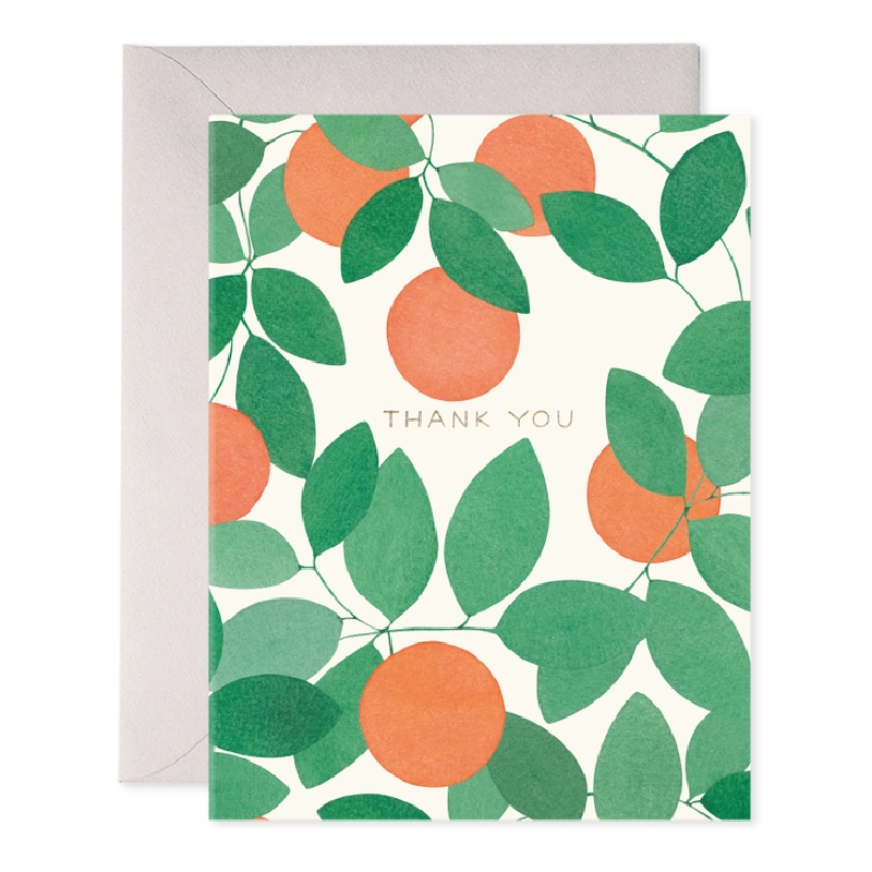 Orange Grove Thank You Cards (Set of 6)