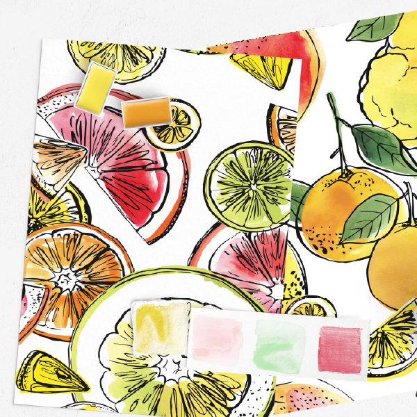 Citrus Watercolor Painting Kit
