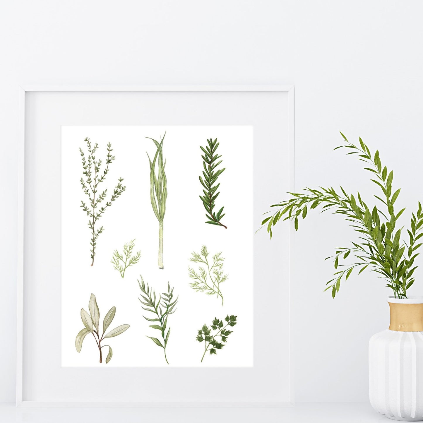 Art Print - Herbs by Margareta Csiszar