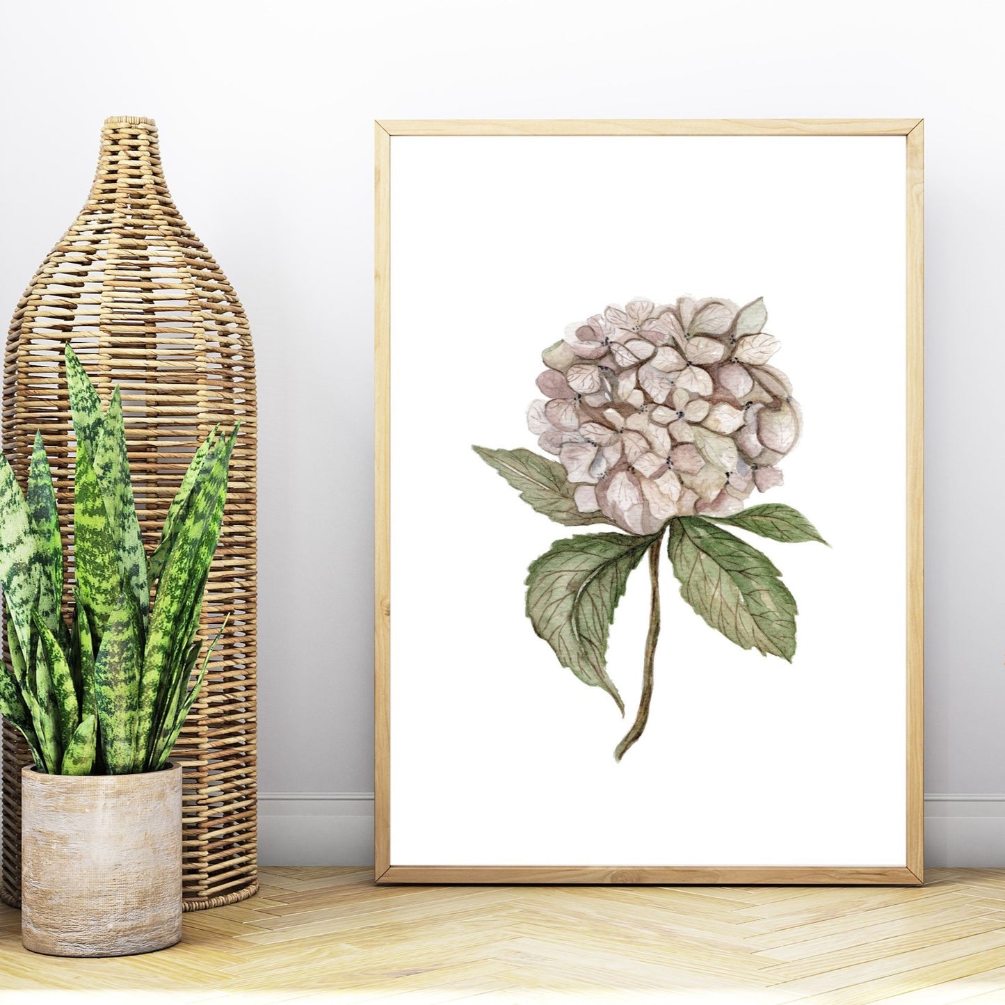 Hortensia Art Print