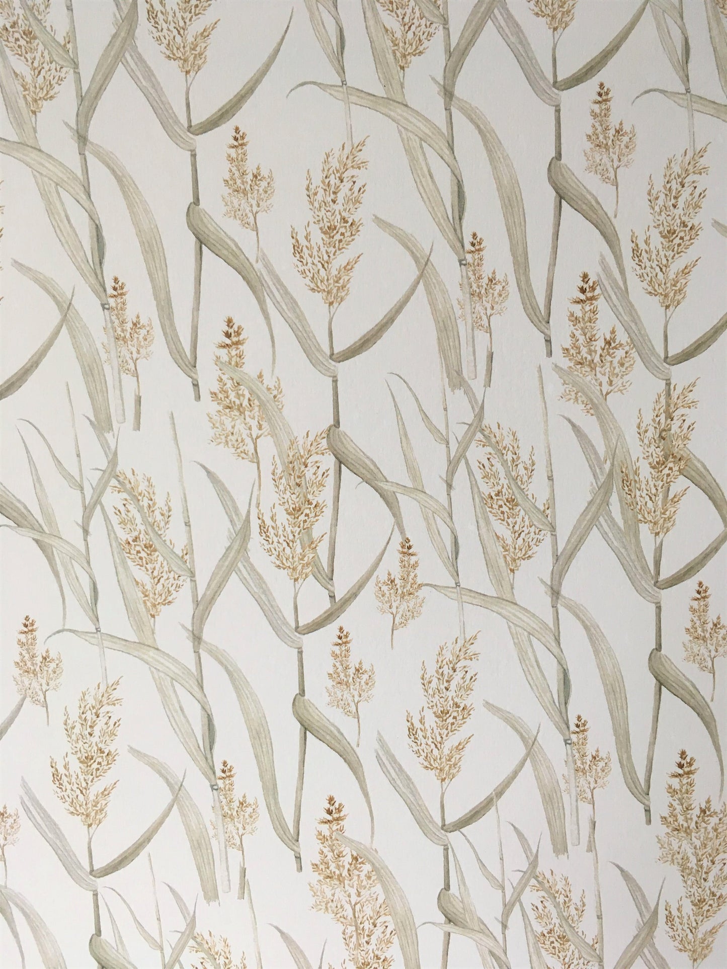 Summer Reeds Art Print