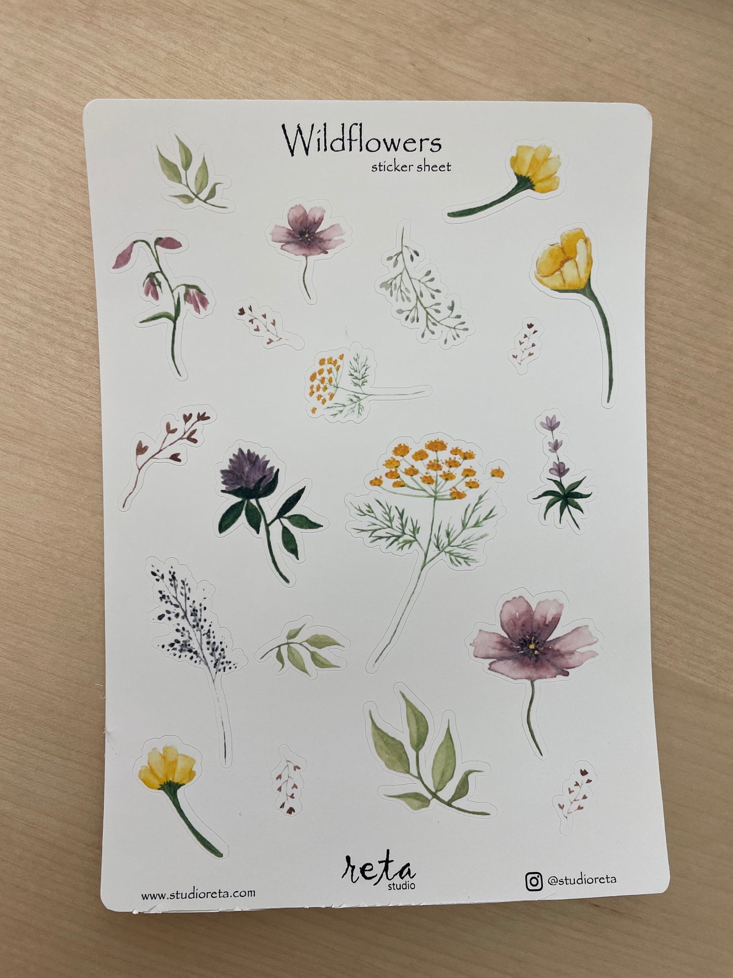 Sticker Sheet - Wildflowers