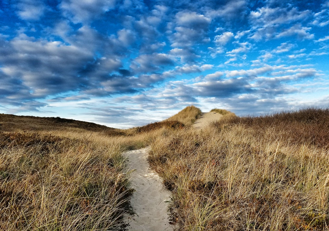 8x10 Photograph with Mat - Truro Pathway