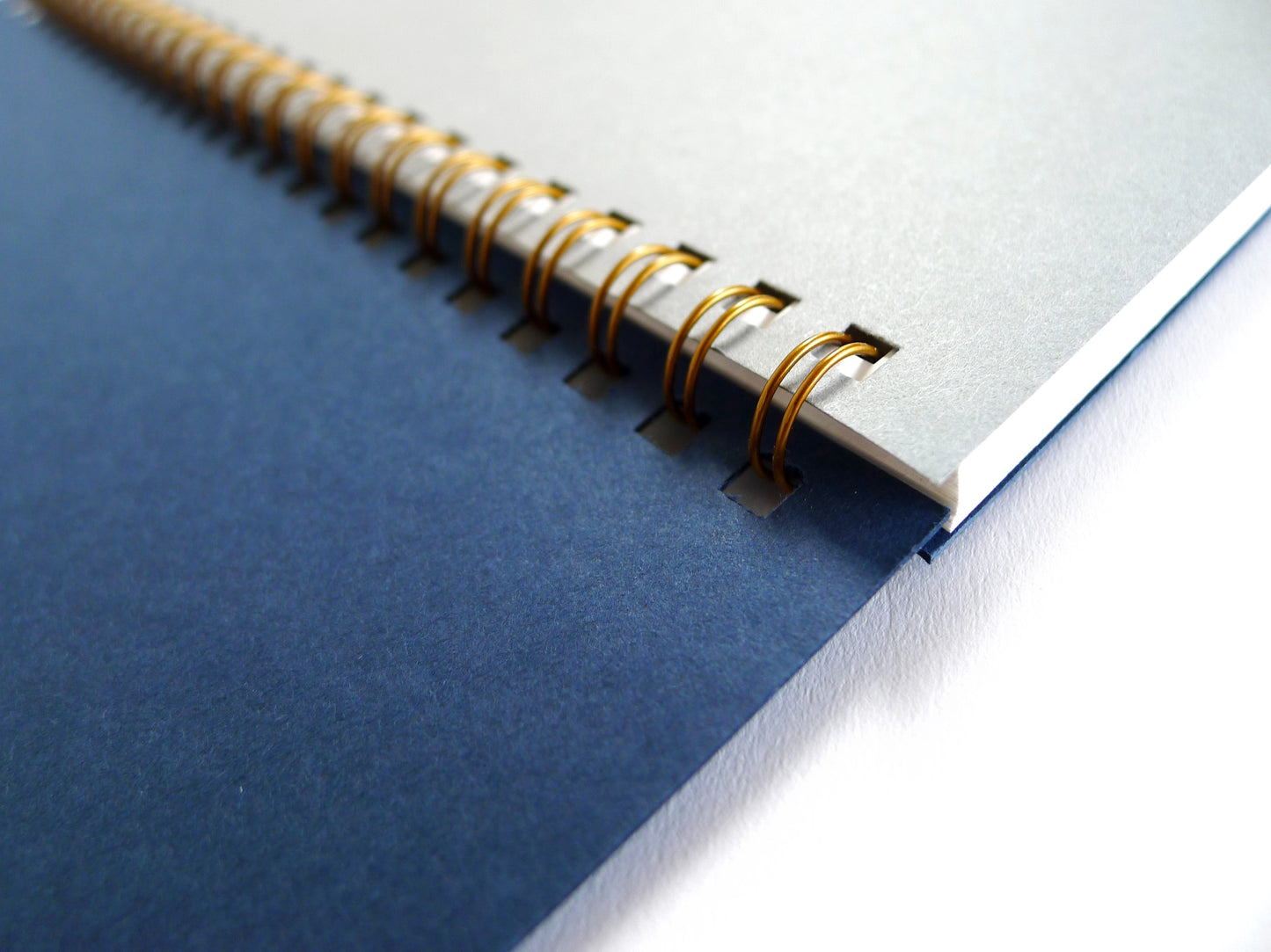 Snake Rising Notebook/Sketchbook