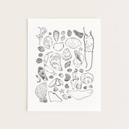 Beachcombing - Coastal Seashells Art Print