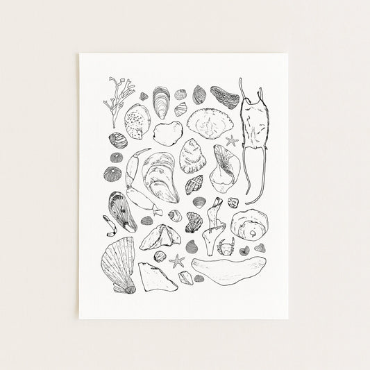Beachcombing - Coastal Seashells Art Print