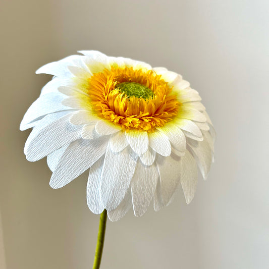 Crepe Paper Flower - Daisy