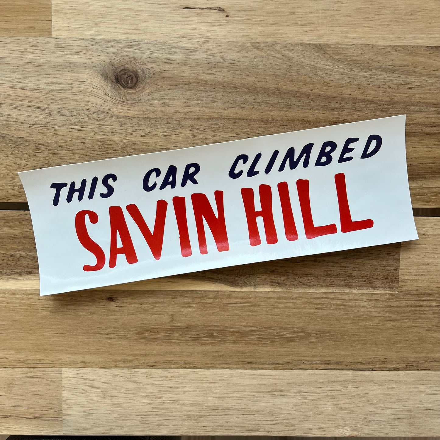 Savin Hill Bumper Sticker