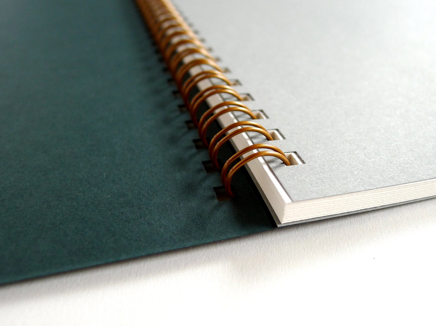 Lavender Snail Notebook/Sketchbook