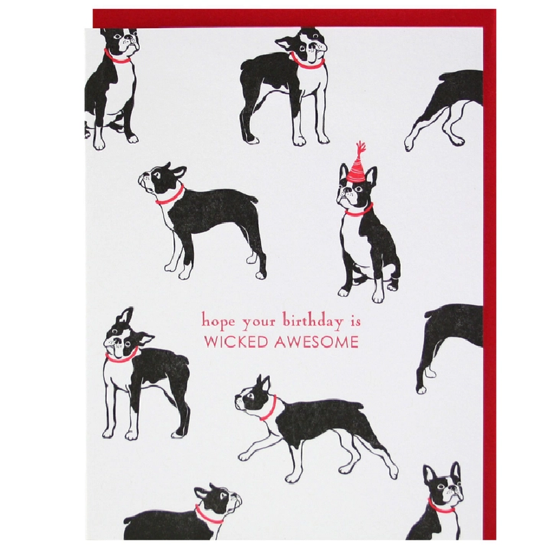 Boston Terrier Wicked Awesome Birthday Card