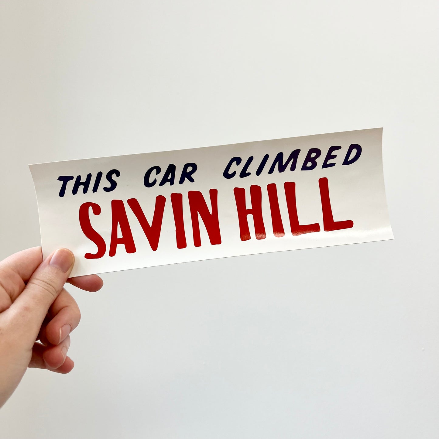 Savin Hill Bumper Sticker