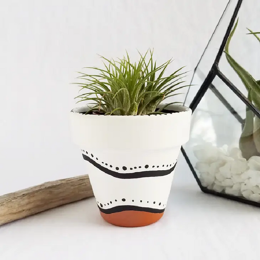 Planter - Dotty Pattern