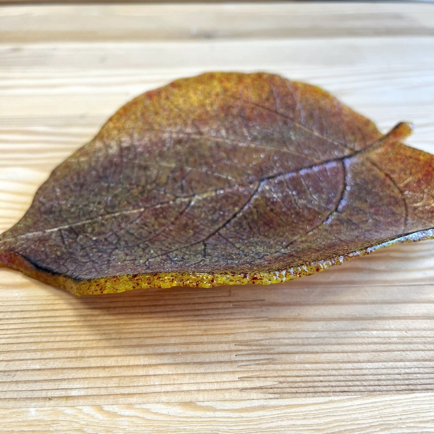 Kiwi Leaf Glass Plate