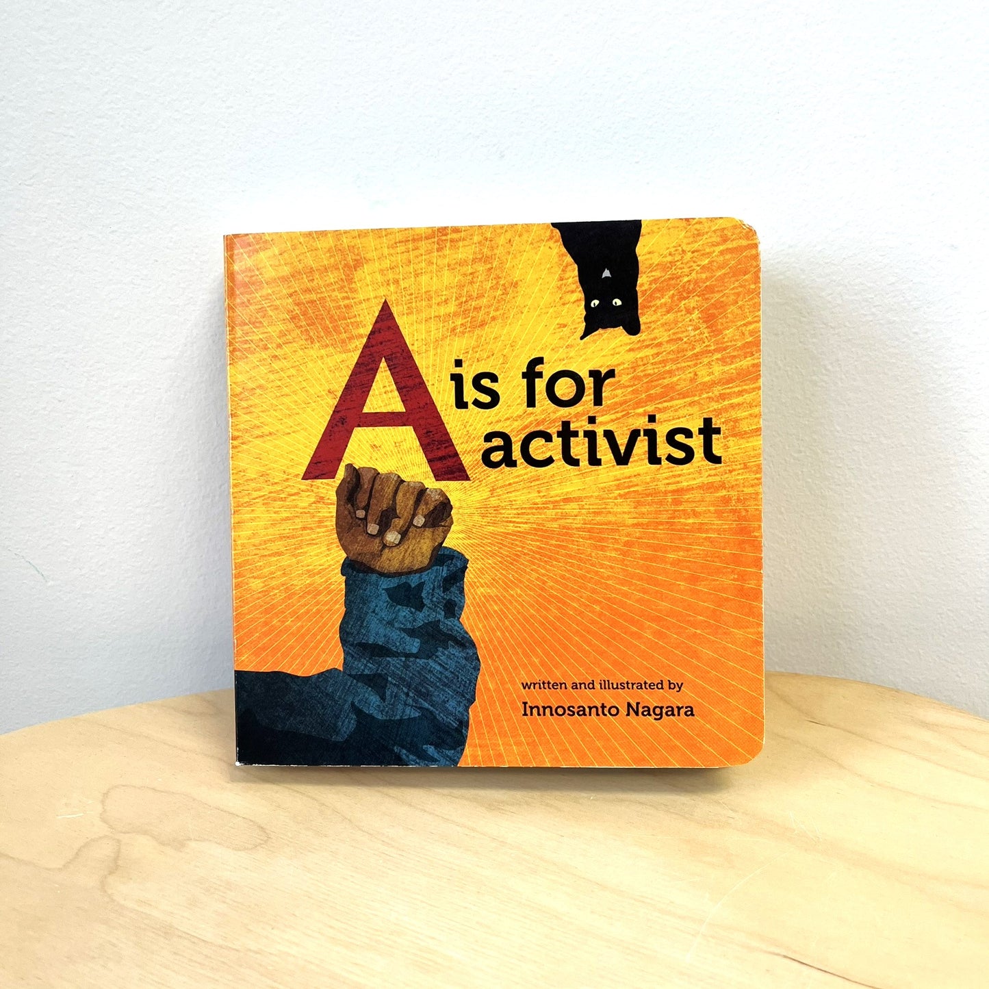 A is for Activist Book