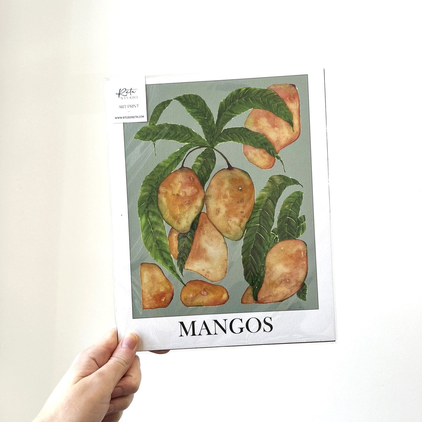 Art Print - Mangos by Margareta Csiszar