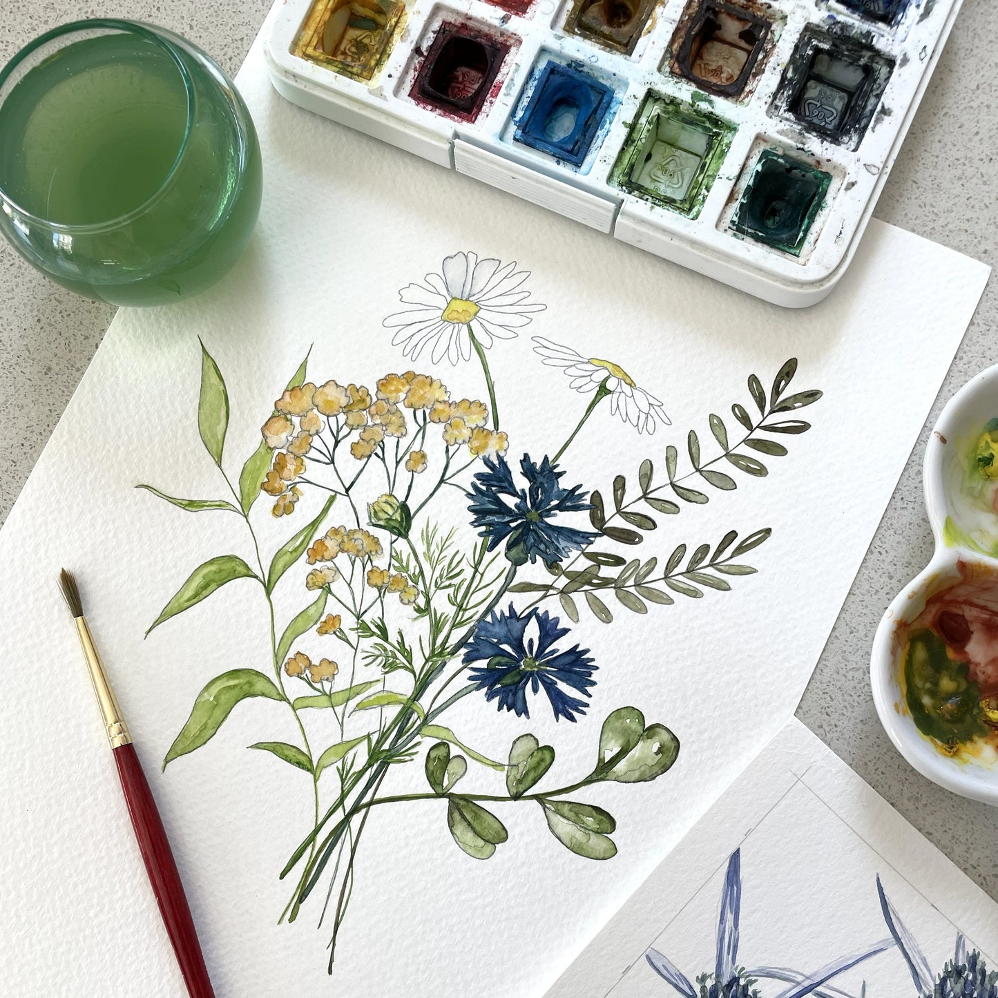 Aug 12 - Botanical Watercolor: Summer Wildflowers