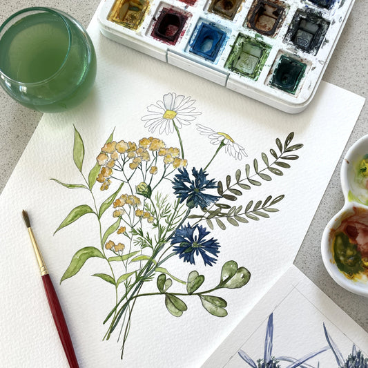 Aug 12 - Botanical Watercolor: Summer Wildflowers