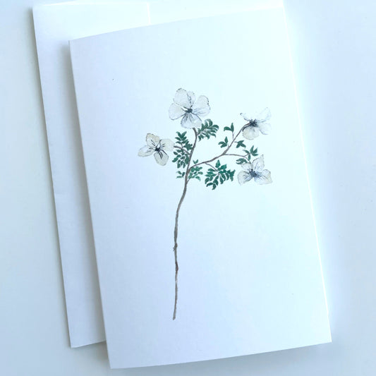 Greeting Card - Winter Flowers