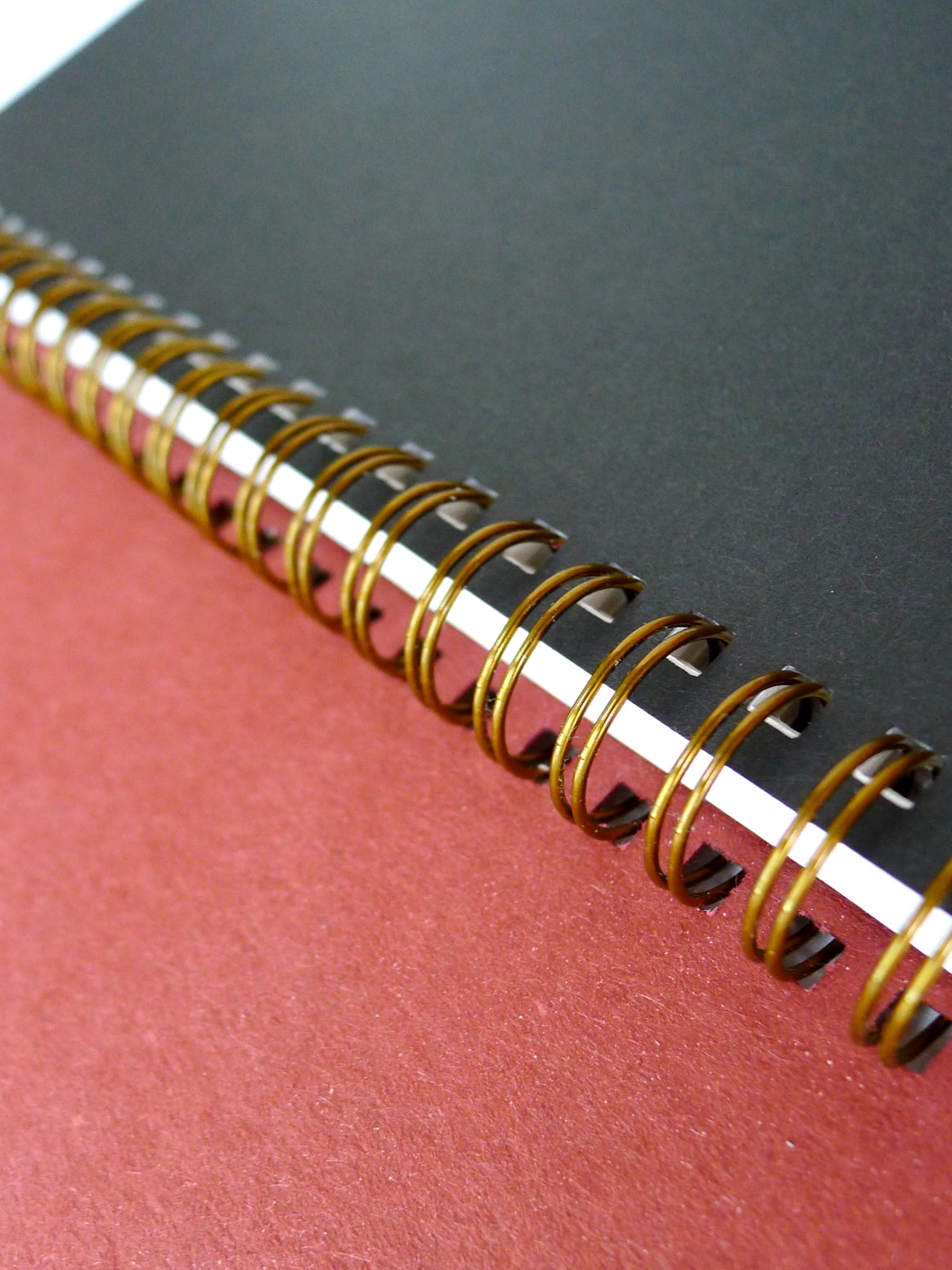 Black Bird Notebook/Sketchbook