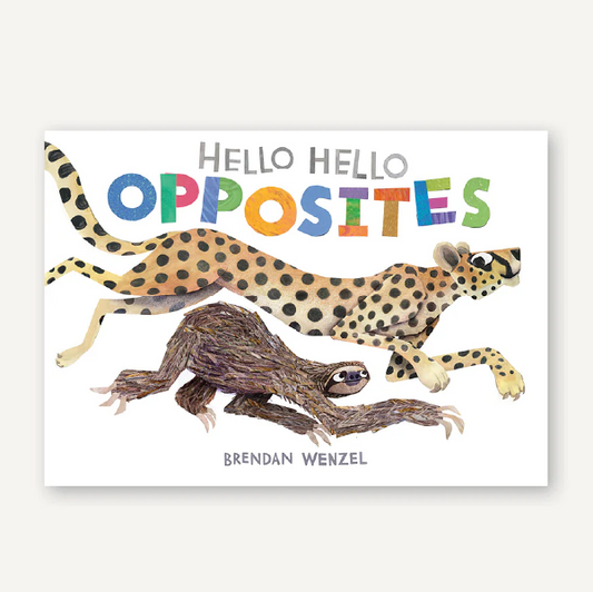 Hello Hello Opposites