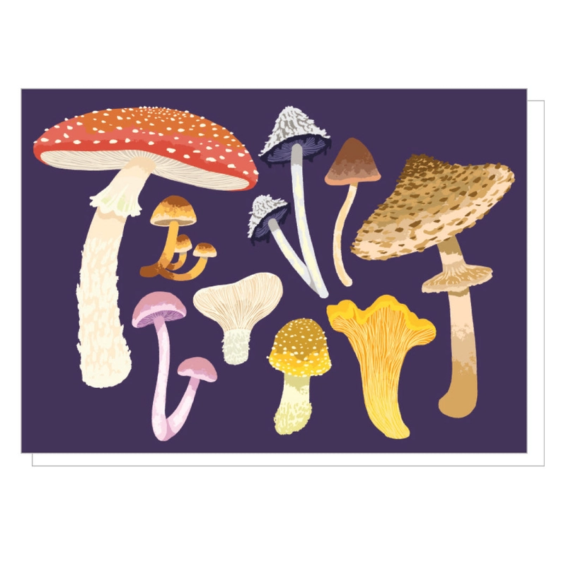 Box of 10 Notecards - Mushrooms