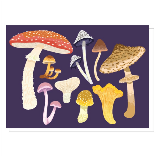 Box of 10 Notecards - Mushrooms