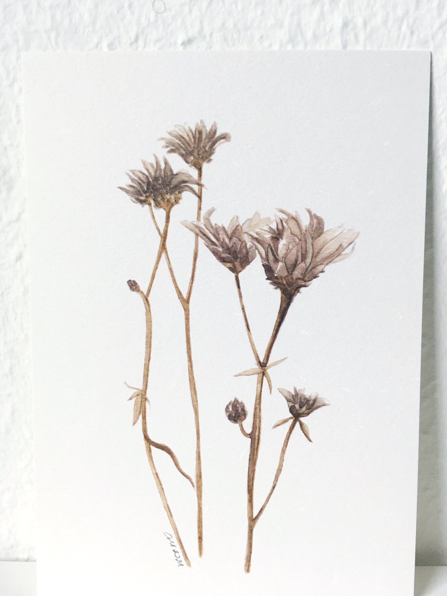 Art Print - Moody Summer Flowers by Margareta Csiszar
