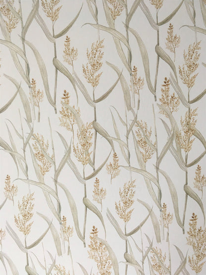 Summer Reeds Art Print