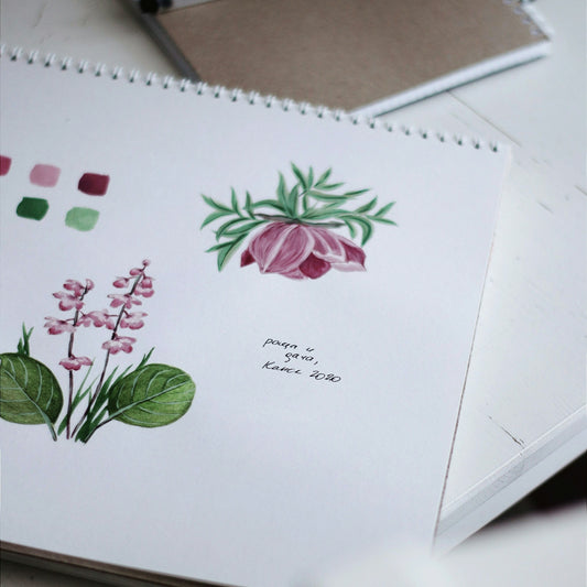 5/8 - Flowers with Meaning: Botanical Watercolors